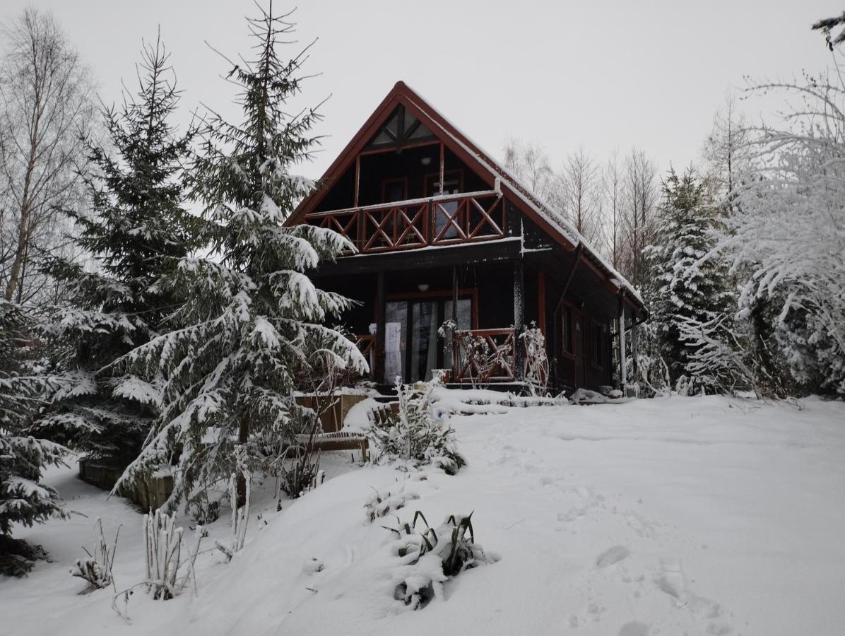 Garden House Nad Jeziorem Szelment Przejma Wielka Exteriér fotografie